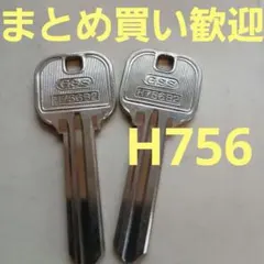 ブランク GSS H756B2 2本セット