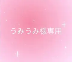 うみうみ様専用ページ