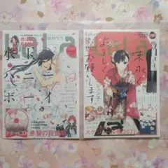 2026年最新】ヴァンパイア騎士 クリアファイルの人気アイテム - メルカリ