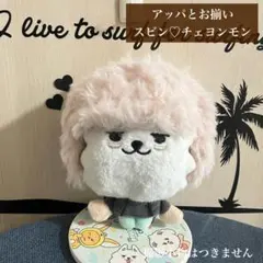 TXT プルバトゥ　ヨンモン　MOA CON うさぎピンク帽子　スビン