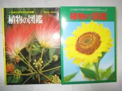 「 植物図鑑 」小学館の学習百科図鑑