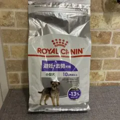 ロイヤルカナン ミニ ステアライズド 800g 避妊・去勢犬用