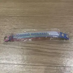 Item thumbnail for item 9822c7e2-8405-4e28-b67e-2cd98d1b2aa5