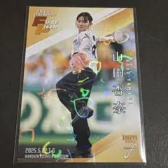 Item thumbnail for item af847de6-895b-40df-b5dd-eb72a36363ea