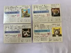 THE WORLD CATS CLUB 免許証風カード なめ猫　オマージュ　昭和のサムネイル