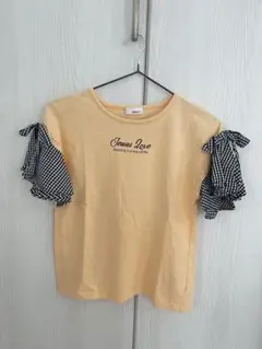 Item thumbnail for item 1ccfe9b0-b6d3-415a-b1fc-2776993c7bc5