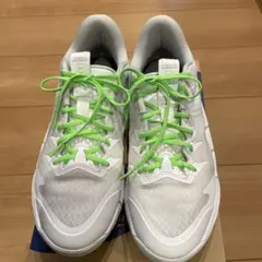 まなちょす様専用　UNPRE ARS LOW 2 26.0cm