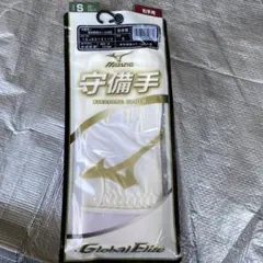 Item thumbnail for item db4352f3-c414-4c51-8a3a-f670a8d59051