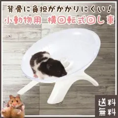 Item thumbnail for item 6da0df46-e56b-4075-9d81-5c2e340bb21f