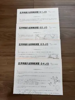 サピックス　６年生　理科　正月特訓入試実践演習