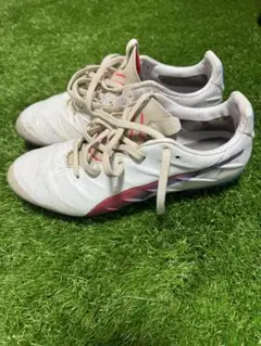 Item thumbnail for item 1873b4f4-85e1-405a-9311-91fbf1afcfa1