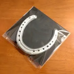 【本物の蹄鉄】馬蹄