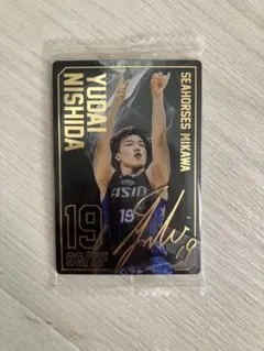 シーホース三河 バスケットボール