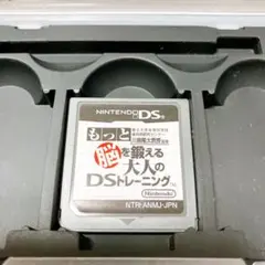 【動作確認済】もっと脳を鍛える大人のDSトレーニング ハードケース付