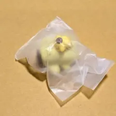 サンリオキャラクターズ ぬいぐるみといっしょフィギュア プリン