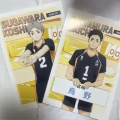 ハイキュー アニメイト特典 ポストカード 澤村大地 菅原孝支