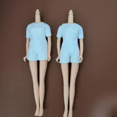 リカちゃんキャッスル製 27cmノーマルボディ 2体