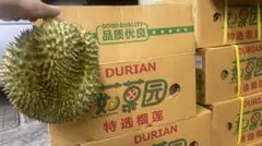 タイ産ドリアン 10-1.3kg 3玉セット販売　 佐川急便発送 タイ産ドリアン 1.0-1.3kg 3玉セット販売 佐川急便発送 - メルカリ