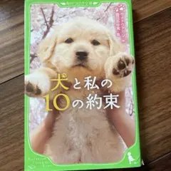 犬と私の10の約束