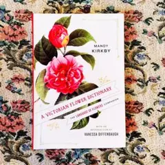Flower Dictionary 新品洋書　花　イラスト