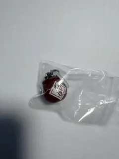 ドラゴンボール めじるしアクセサリー4