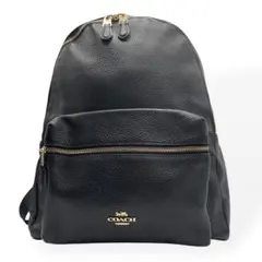 COACH オールレザー シボ革 バックパック 大容量 リュック A4 黒 