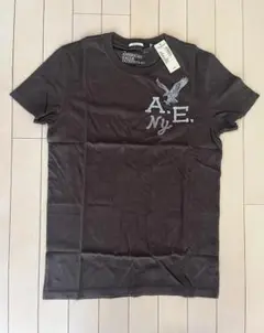 新品 アメリカンイーグル・アウトフィッターズ メンズ 刺繍半袖Tシャツ