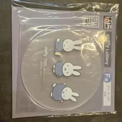 Item thumbnail for item 5b3ad63a-55ed-4017-b4bf-13491b66d1b8