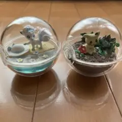 2026年最新】テラリウムコレクションEXアローラ地方編の人気アイテム