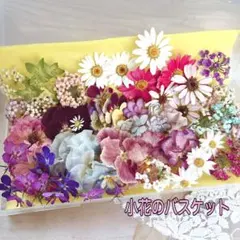 小花のバスケット ドライフラワー❤️ 詰め合わせ 大ケースに沢山入っています❤️
