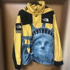 正規品supreme the north faceマウンテンパーカー 自由の女神