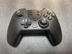 ALLONE ワイヤレスコントローラー Nintendo Switch用