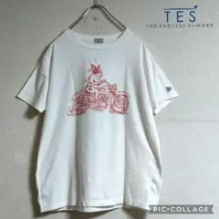 ❮美品☆❯TES Tシャツ ブヒ エンドレスサマー ブルドックのサムネイル