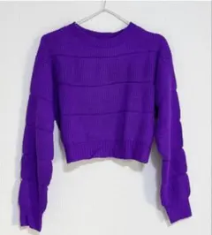 SHEIN パープル クロップド丈 ニット セーター 長袖
