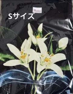 TENBLANK Tシャツ Mサイズ セントマイケルコラボ【値下げ済】 - メルカリ