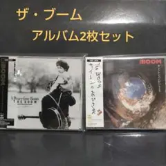 ザ・ブーム「ア・ピースタイム・ブーム」「サイレンのおひさま」2枚セット CD