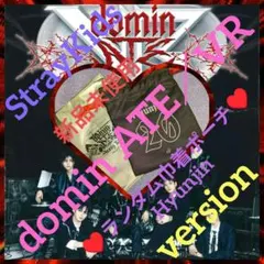 ◆StrayKids◆domin ATE／VR／巾着ポーチ【Hyunjin】