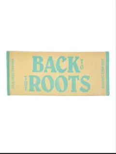 2025年最新】平井大ツアーグッズの人気アイテム - メルカリ