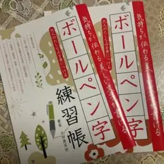字をもっと綺麗に書きたいと感じている方にぴったりボールペン字練習帳です　美文字