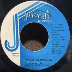 Cocoa Tea – Too Hot To Handle レゲエレコード