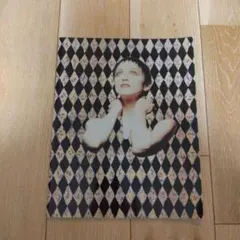 2026年最新】マドンナ パンフの人気アイテム - メルカリ