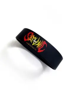 2025年最新】ジャンル：国内アーティスト ラバーバンドの人気