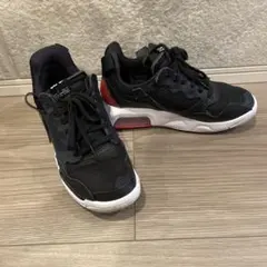 Item thumbnail for item 1e3f28e7-0e16-4a3d-9576-0858d87e28b4