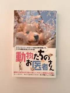 動物たちのお医者さん 小学館ジュニア文庫