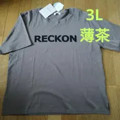 【接触冷感】myuwa ミューワ　ロゴTシャツ　3L　薄茶