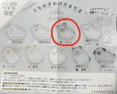 うちの子のけだまだま　犬　「チワワ」