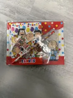 新品 スヌーピー BIGポーチ文具セット SNOOPY PEANUTS 메모장