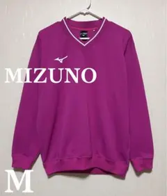 Item thumbnail for item 64698630-4e17-413f-8997-4d16c0869c8c