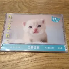 Item thumbnail for item 0263fc8f-87db-4fc7-b93f-b7da848883cc