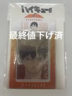 ハイキュー バースデイカードホルダー 影山飛雄